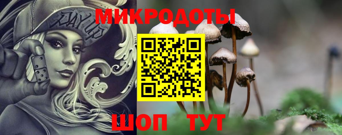Псилоцибиновые грибы Psilocybine cubensis Туапсе
